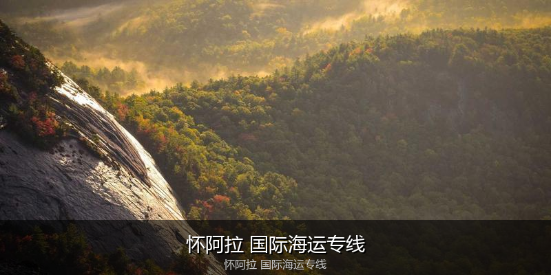 中国到澳洲海运专线服务优势与价格指南